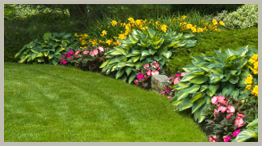 Sapulpa Lawn & Landscaping Services